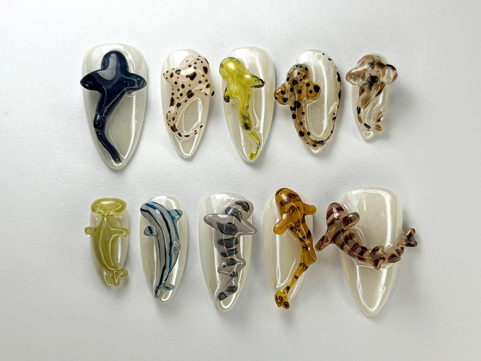 Deep Sea Shark Press On Nails | OC77